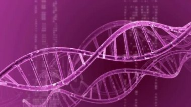 DNA çift sarmalı tıbbi geçmişi
