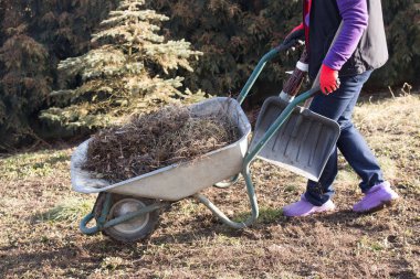 Yaşlı kadın bahar bahçe temizliği
