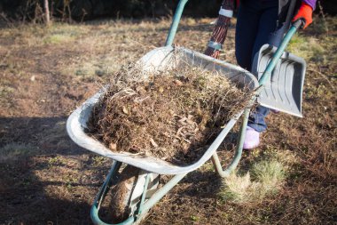 Yaşlı kadın bahar bahçe temizliği