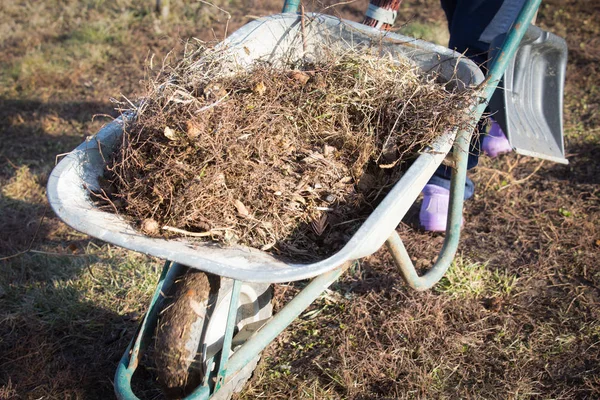 Bejaarde Vrouw Voorjaarsschoonmaak Tuin — Stockfoto