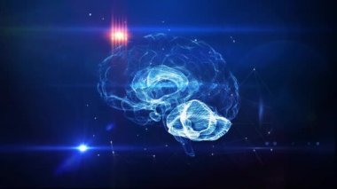 İnsan beyni yapay zeka kavramı