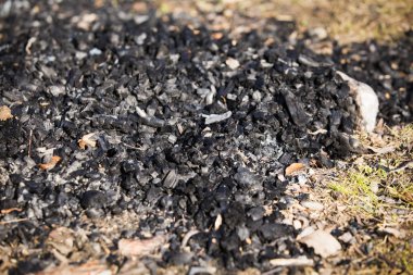 Doğal ahşap kömür Biyokütle enerji için