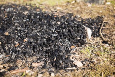 Doğal ahşap kömür Biyokütle enerji için