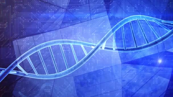 Genetics Dna Double Helix Strand — Stock Video