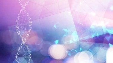 DNA çift sarmalı moleküler yapısı