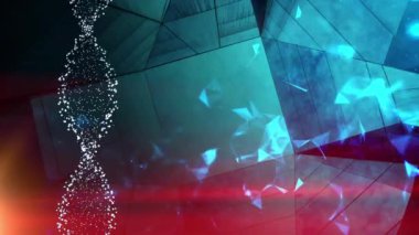 DNA çift sarmalı moleküler yapısı