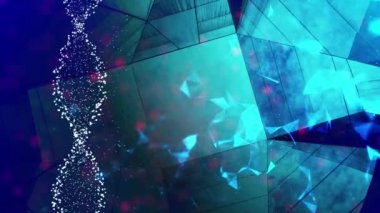 DNA çift sarmalı moleküler yapısı