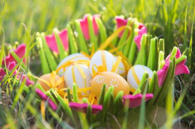 Çim bir sepet içinde Paskalya yumurtaları