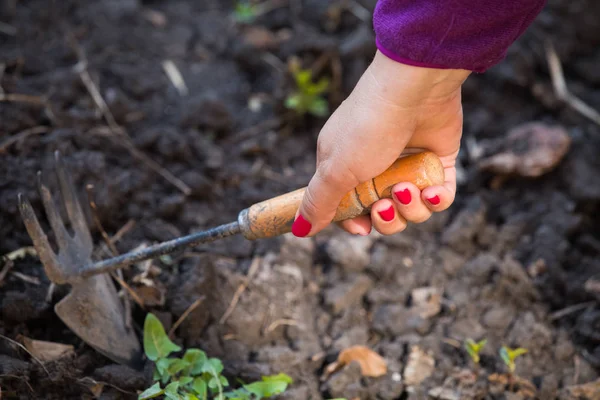 Ouderen Vrouw Hand Tuinieren — Stockfoto