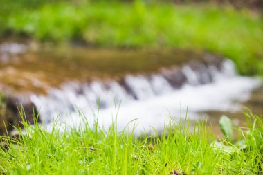 Taze dağ şelalearka plan