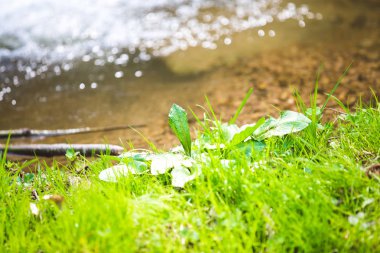Ferahlatıcı yaz dağ şelale arka plan