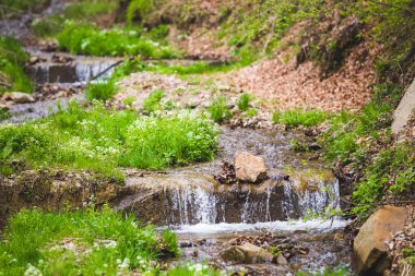 Ferahlatıcı yaz dağ şelale arka plan