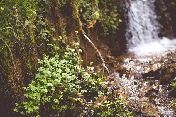 Refreshing Summer Mountain Waterfall Background — Stock Photo, Image