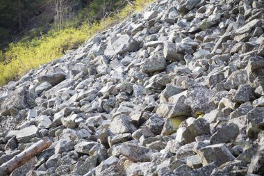 Yasadışı günlüğe kaydetme. Ormansızlaşma kaya-düşme tehlikesi riski 