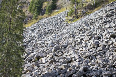 Yasadışı günlüğe kaydetme. Ormansızlaşma kaya-düşme tehlikesi riski 