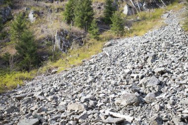 Yasadışı günlüğe kaydetme. Ormansızlaşma kaya-düşme tehlikesi riski 