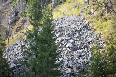 Yasadışı günlüğe kaydetme. Ormansızlaşma kaya-düşme tehlikesi riski 
