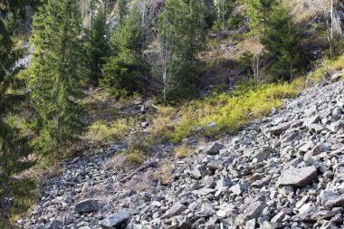 Yasadışı günlüğe kaydetme. Ormansızlaşma kaya-düşme tehlikesi riski 