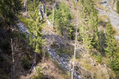 Yasadışı günlüğe kaydetme. Ormansızlaşma kaya-düşme tehlikesi riski 