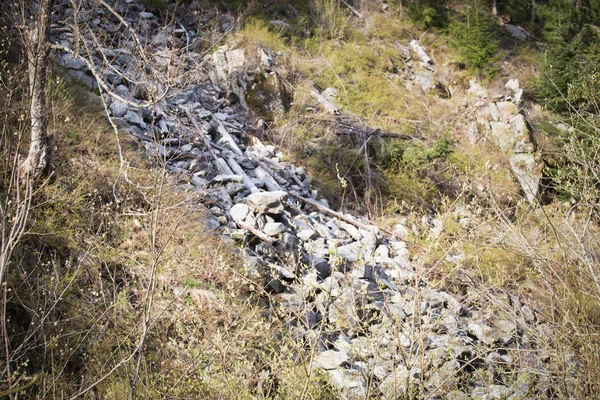 Nielegalne Rejestrowanie Ryzyko Wylesiania Skał Zagrożonych Wybuchem — Zdjęcie stockowe