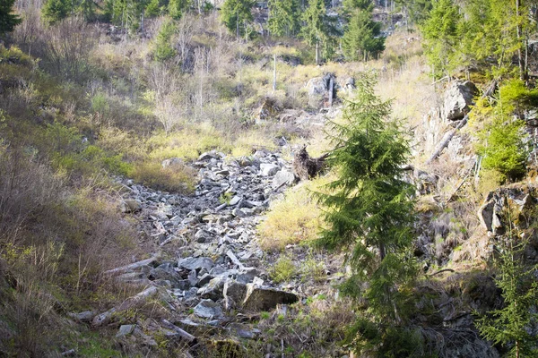 Illegal Logging Deforestation Rock Fall Hazard Risk — Stock Photo, Image