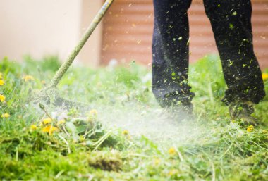 Profesyonel bir çim düzeltici ile çim kesme