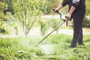Profesyonel bir çim düzeltici ile çim kesme