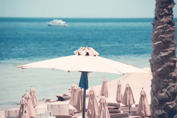 Relaxing Beach background with umbrellas and sea