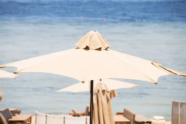 Relaxing Beach background with umbrellas and sea