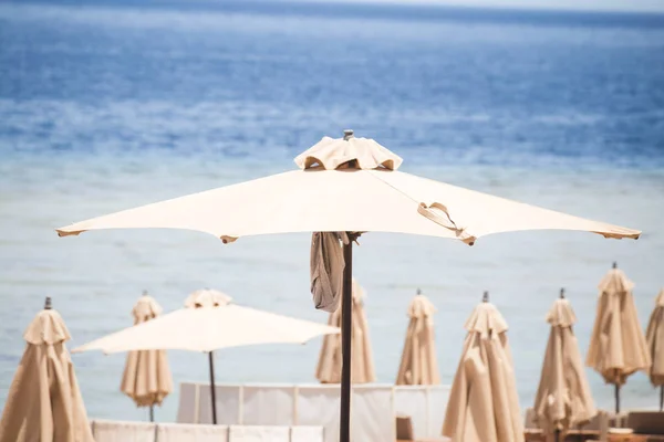 Relaxing Beach background with umbrellas and sea