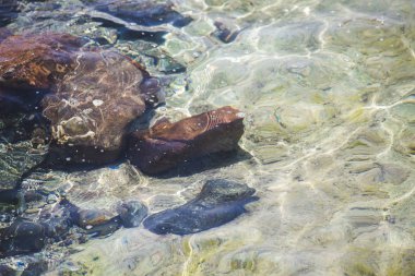 Deniz suyu yaz tatili arka plan