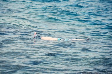 Denizde şnorkelli yüzme insanlar