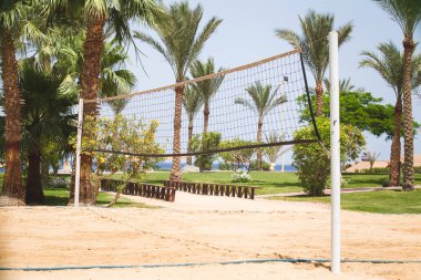 Plajda oyun alanı. Tropikal arka plan