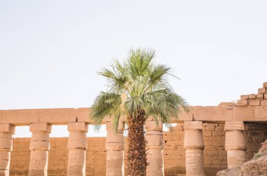 Mısır 'ın Theba kentindeki Karnak Tapınağı Kompleksi