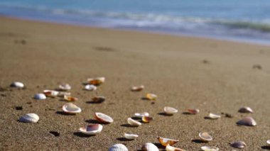 Yaz deniz dalgaları sahil arka plan