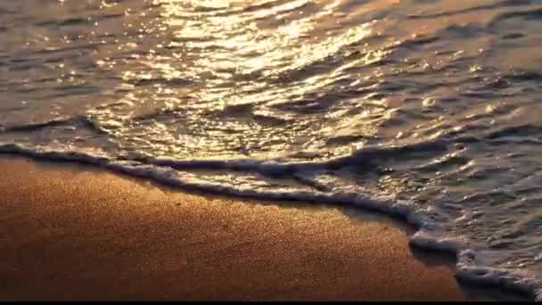 Verano Mar Olas Costa Fondo — Vídeo de stock