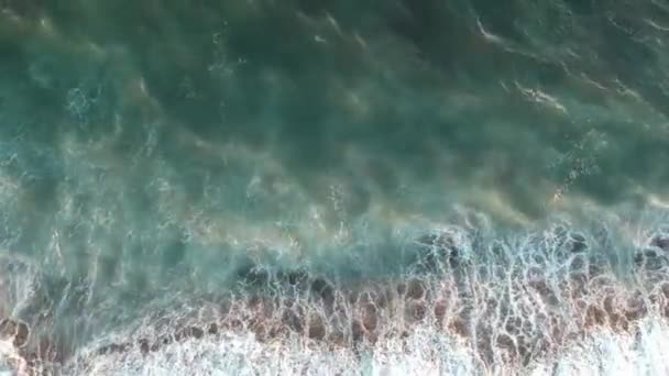 Pobřeží Letního Moře — Stock video