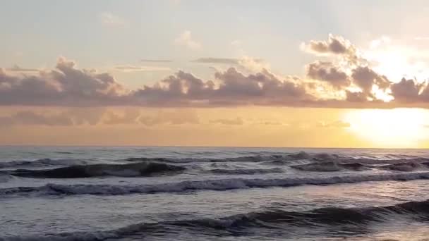 Summer Sea Waves Coast Background — Stock Video