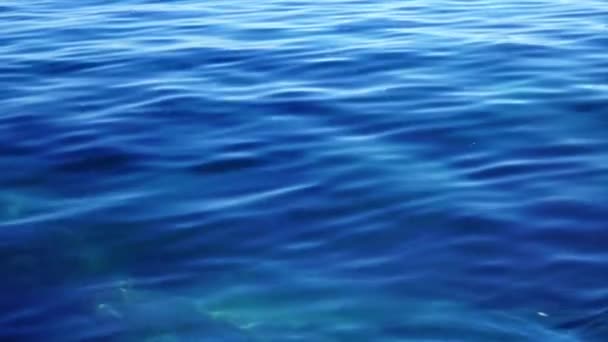 Blauwe Zee Golven Zomer Achtergrond — Stockvideo
