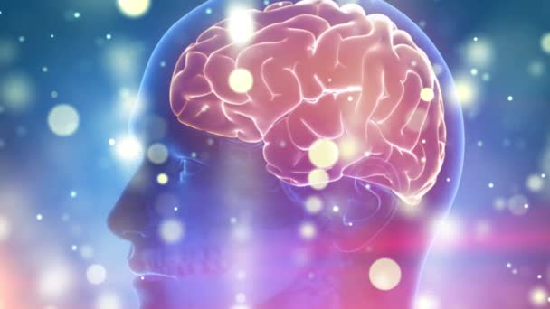 Cerebro Humano Antecedentes Cibernéticos Médicos — Vídeo de stock