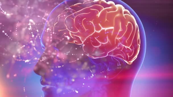 Ludzki Mózg Medyczny Cyber Tło — Wideo stockowe