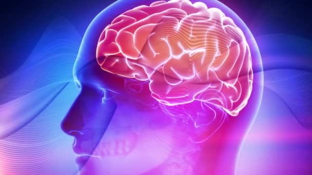 Ανθρώπινο Εγκέφαλο Ιατρικό Φόντο Στον Κυβερνοχώρο — Αρχείο Βίντεο