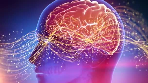 Cerebro Humano Antecedentes Cibernéticos Médicos — Vídeos de Stock