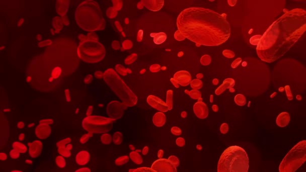 Красные Кровяные Тельца Перемещаются Артерии Медицинское Образование — стоковое видео