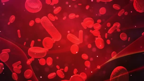 Les globules rouges voyagent dans une artère. Contexte médical 
