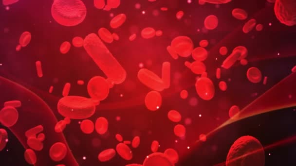 Red Blood Cells Travel Artery Medical Background — Stock Video