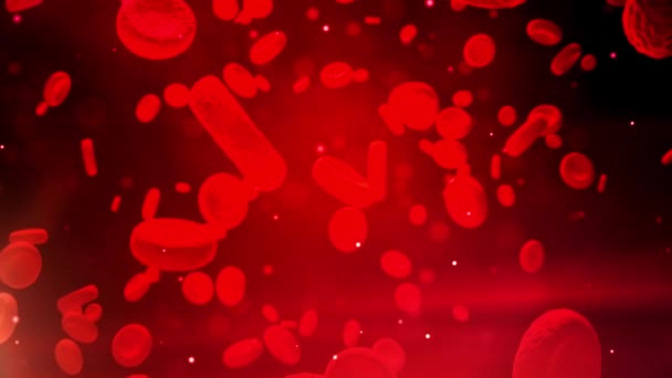 Les globules rouges voyagent dans une artère. Contexte médical 