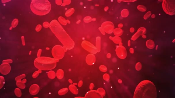 Les globules rouges voyagent dans une artère. Contexte médical 