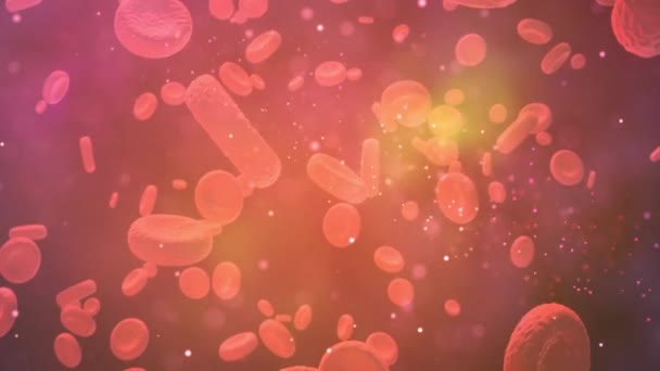 Les globules rouges voyagent dans une artère. Contexte médical 