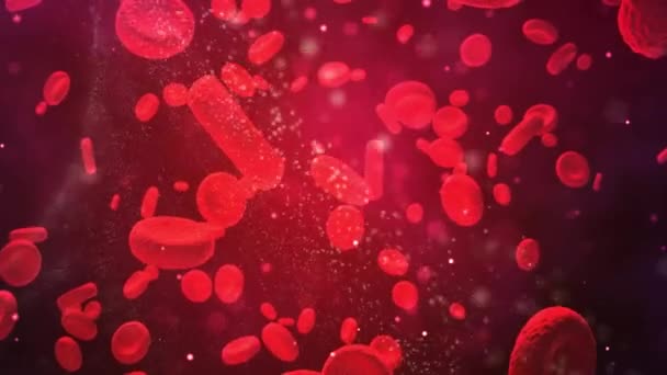 Les globules rouges voyagent dans une artère. Contexte médical 